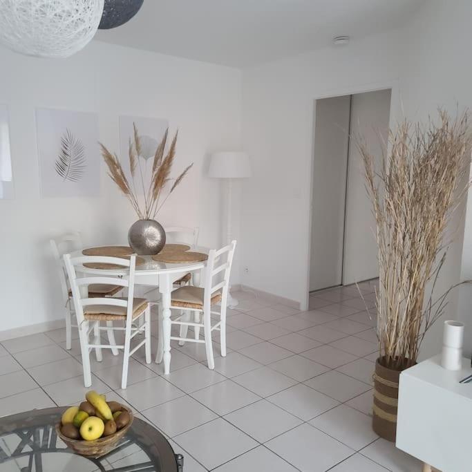 Appartement 63 M2, Tout Confort, Climatise. Saint-Cyprien  Zewnętrze zdjęcie